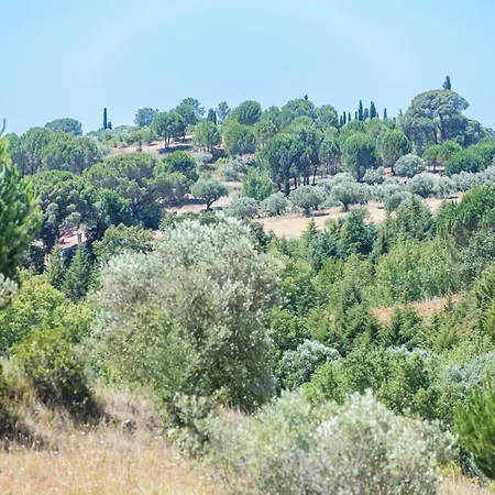 Xitaka - Modern Large Great Views Torres Novas