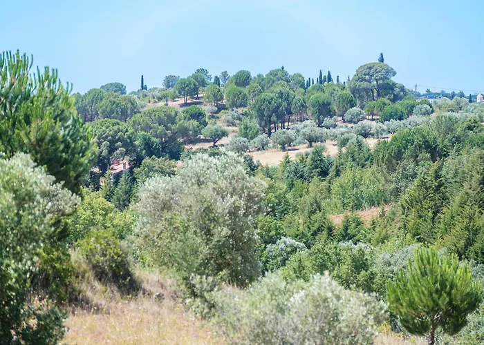 Xitaka - Modern Large Great Views Torres Novas